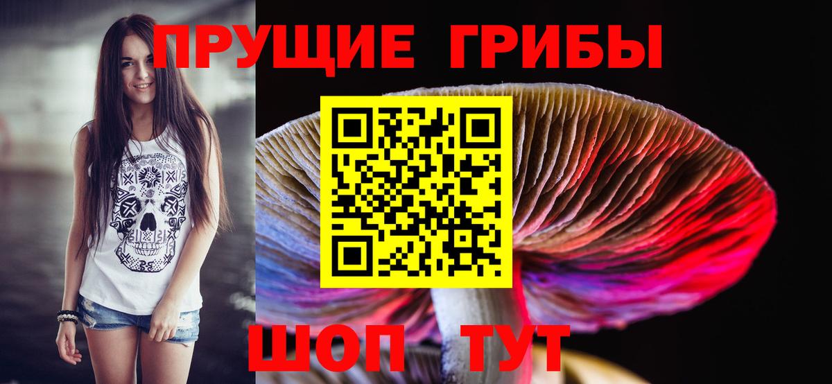 Галлюциногенные грибы Psilocybine cubensis  Вход с VPN  Ростов-на-Дону 